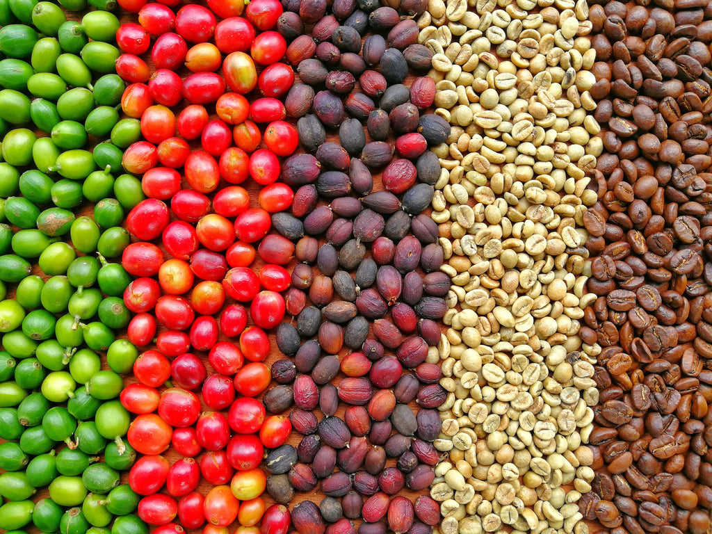 A Guide to Coffee Roasts Bald Guy Brew Coffee Roasting Co.