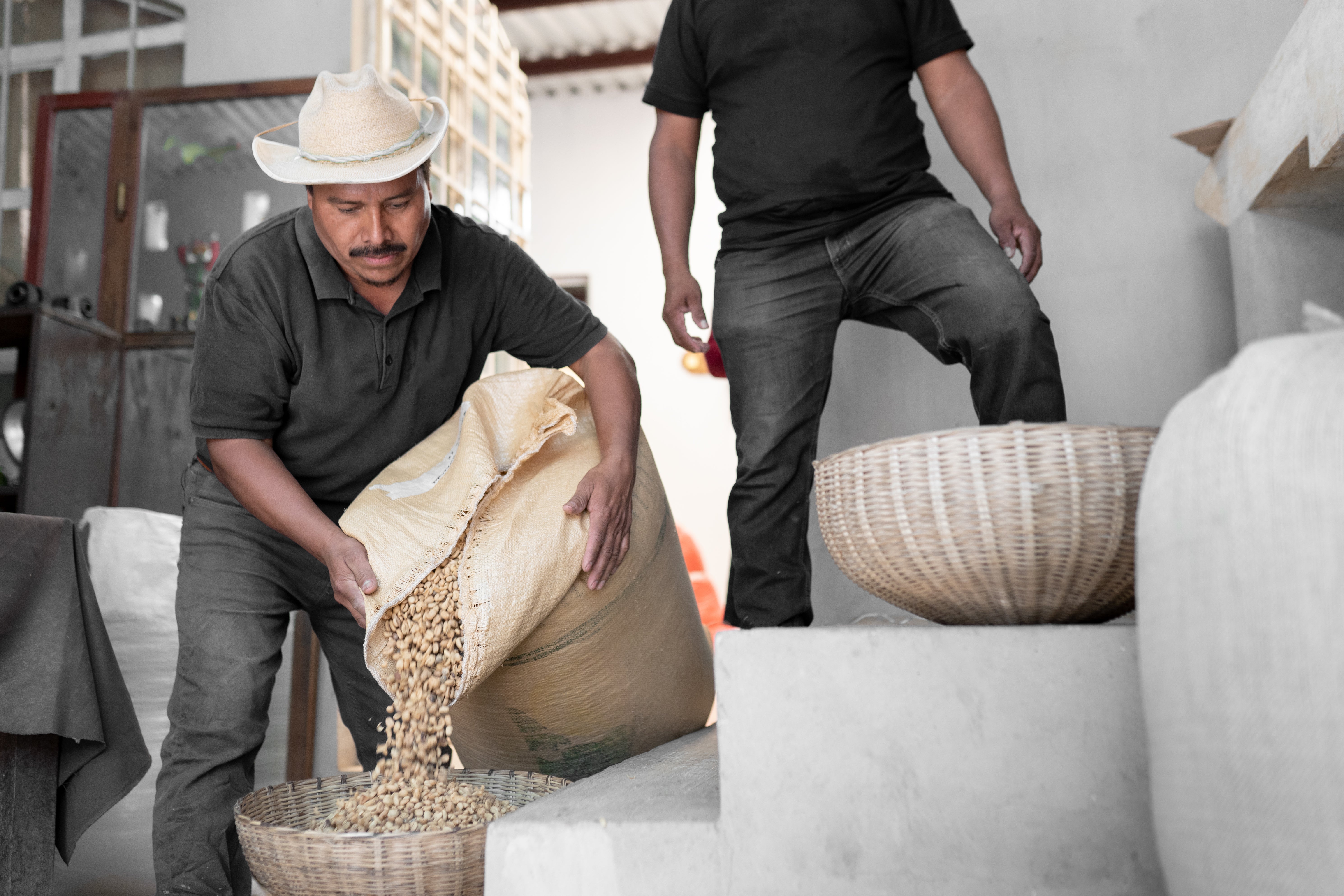 My Coffee Journey & the One Ratio That Changed Everything