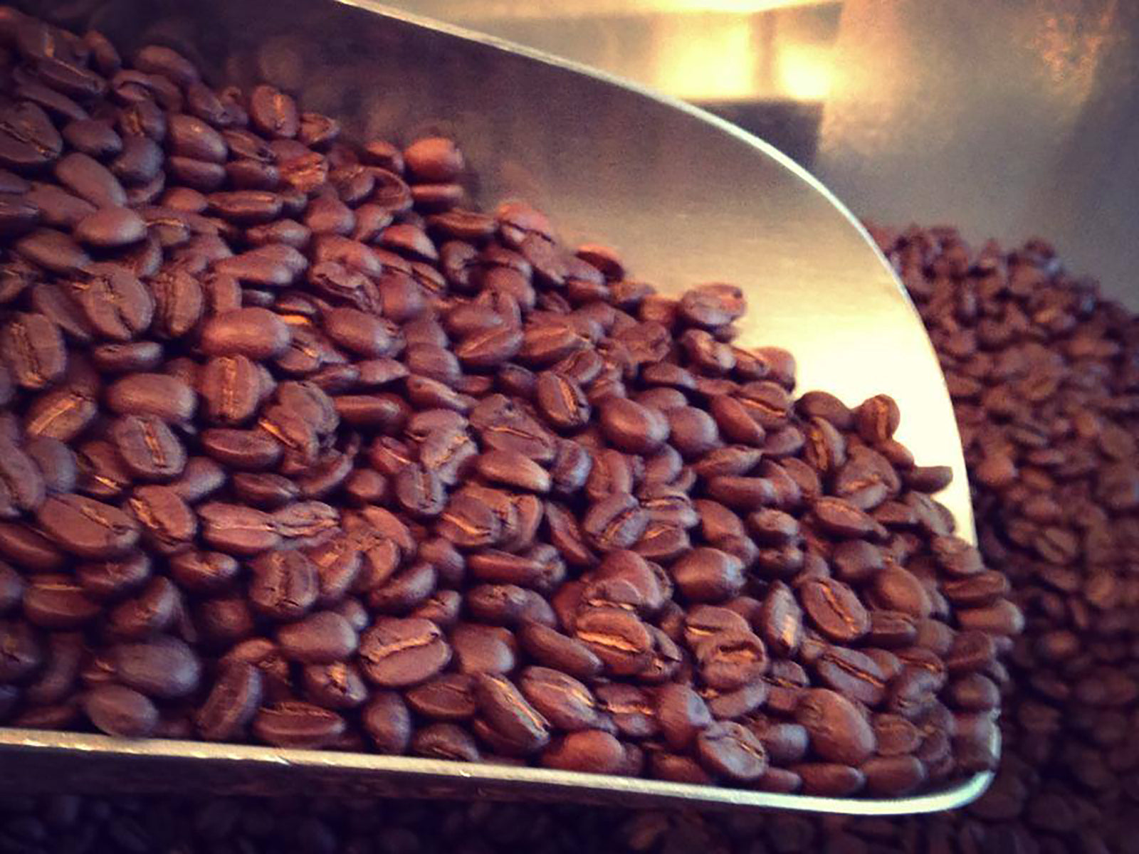 Bald Guy Brew Coffee Beans