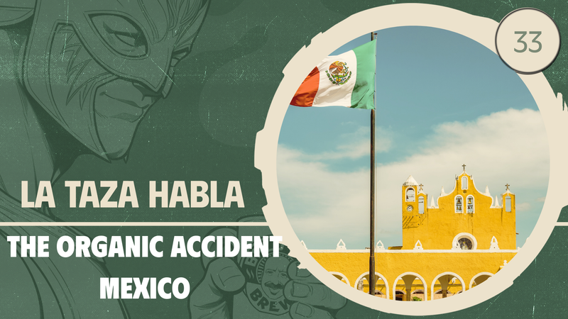 Ep 1: Mexican Coffee - Why Organic Was an Accident