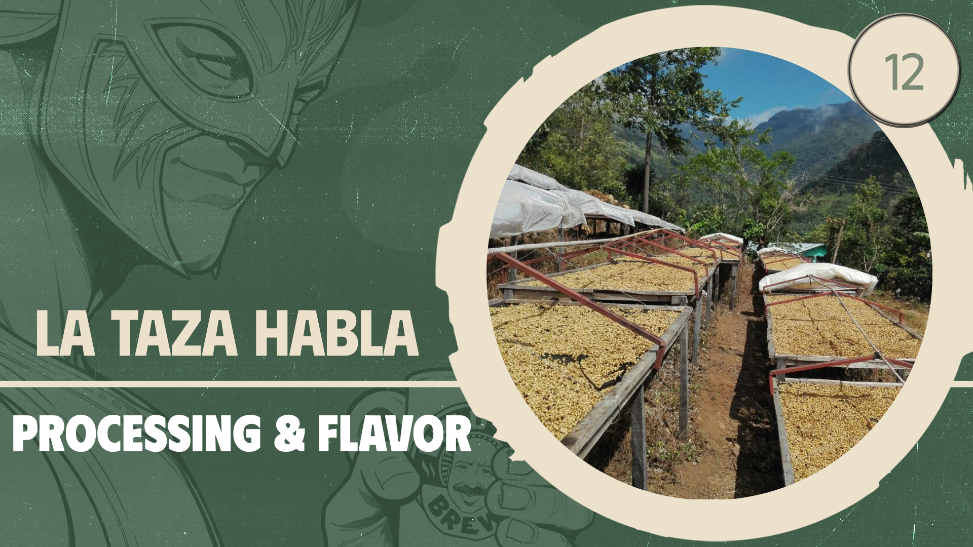 Processing & Flavor: From Fruit to Cup