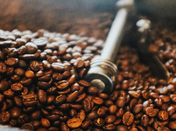 Boone Roastery & Coffee Shop Bald Guy Brew Coffee Roasting Co.