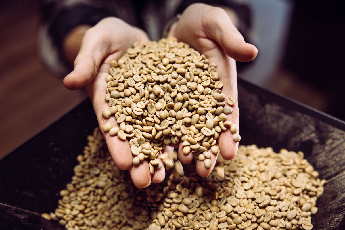 Organic Bulk Coffee - 5 lbs - Free Shipping