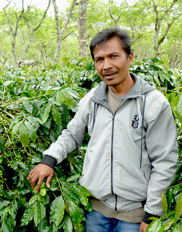 Organic Shade Grown Coffee Farmer