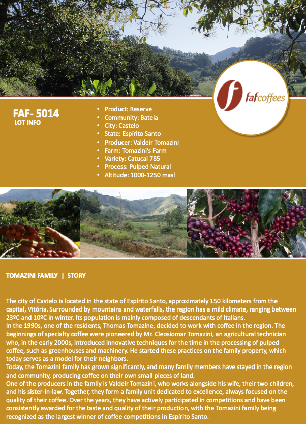 Brazilian Micro Lot - Espirito Santo Reserve